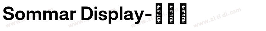 Sommar Display字体转换